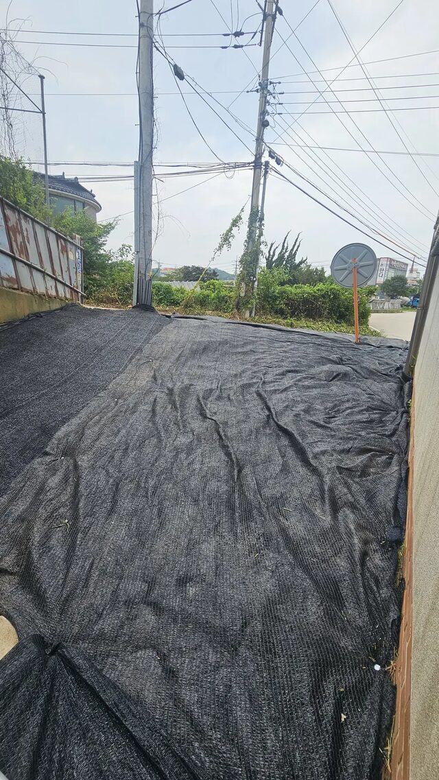 야적장 인접부의 잡초 정리 전후 상태를 보여주는 모습