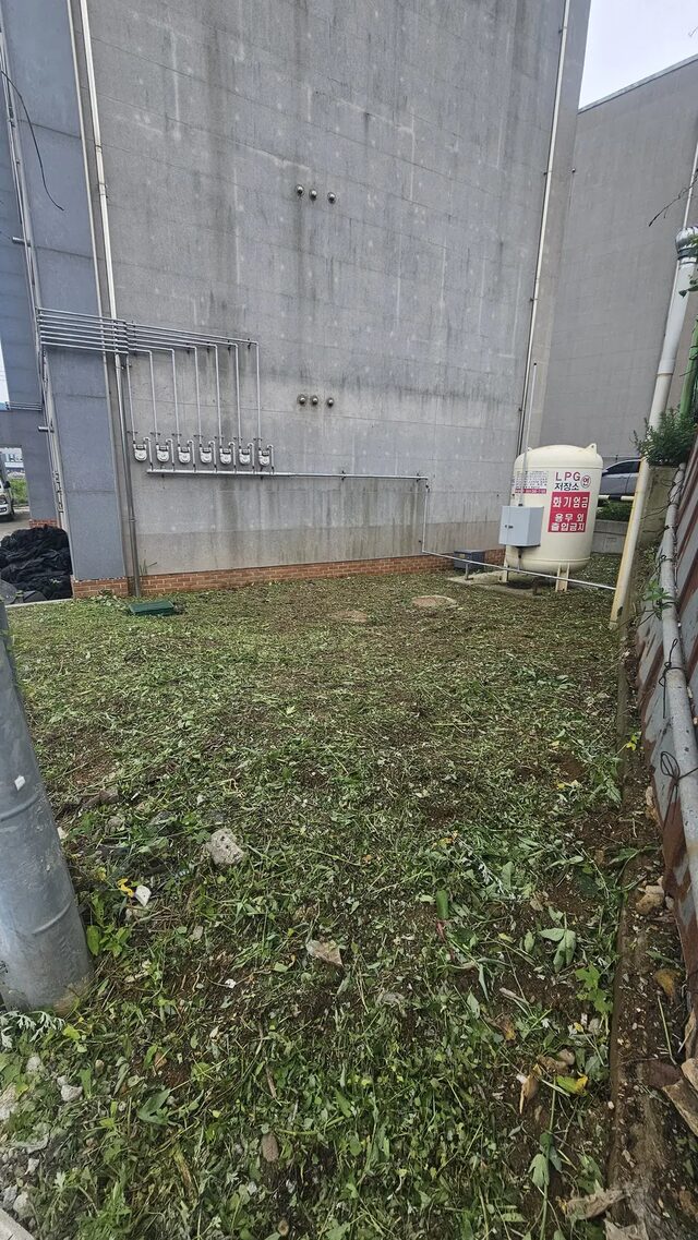 산지 경계 표지와 수목 사이 초본 상태를 살피는 현장 모습