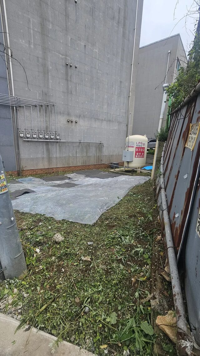 봉분 주변 잔디와 경계를 살피며 묘지잡초제거를 진행하는 현장 모습
