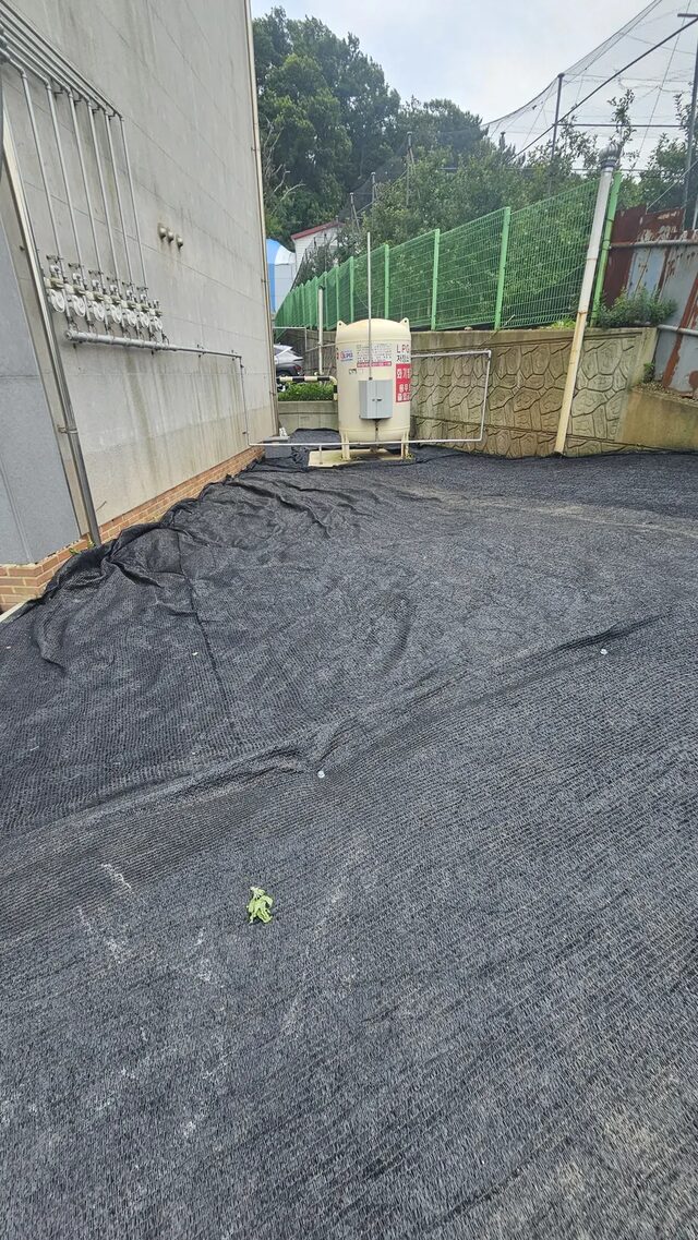 경계선 부근까지 잡초를 정리한 나대지 현장 모습