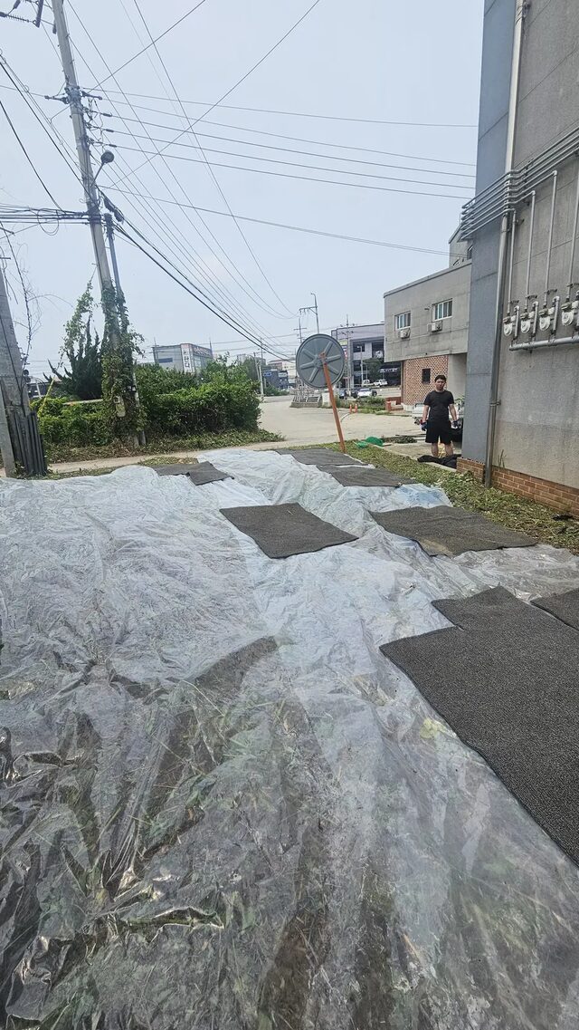 보호장구를 착용한 잡초제거인부가 예초 작업을 진행하는 모습