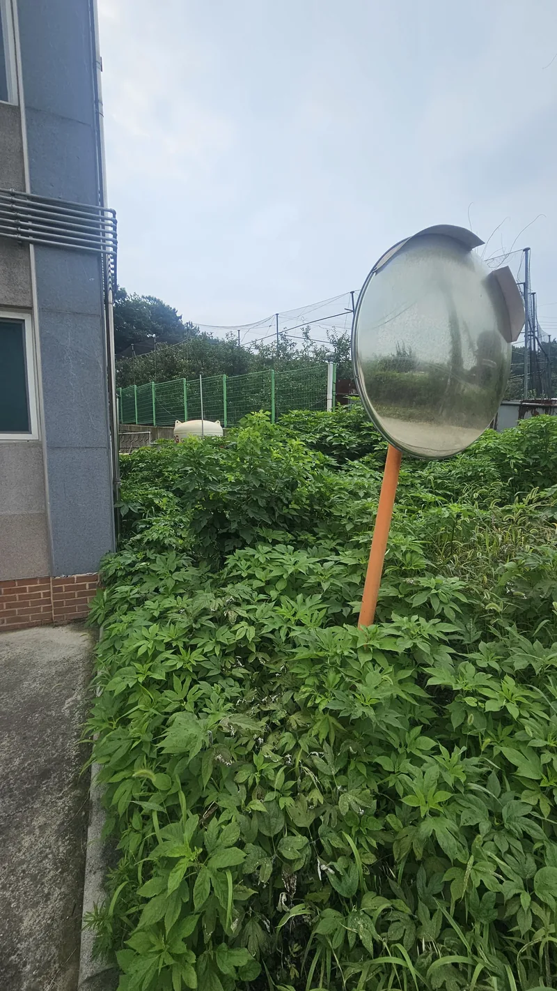 공장잡초제거 현장 사진 1