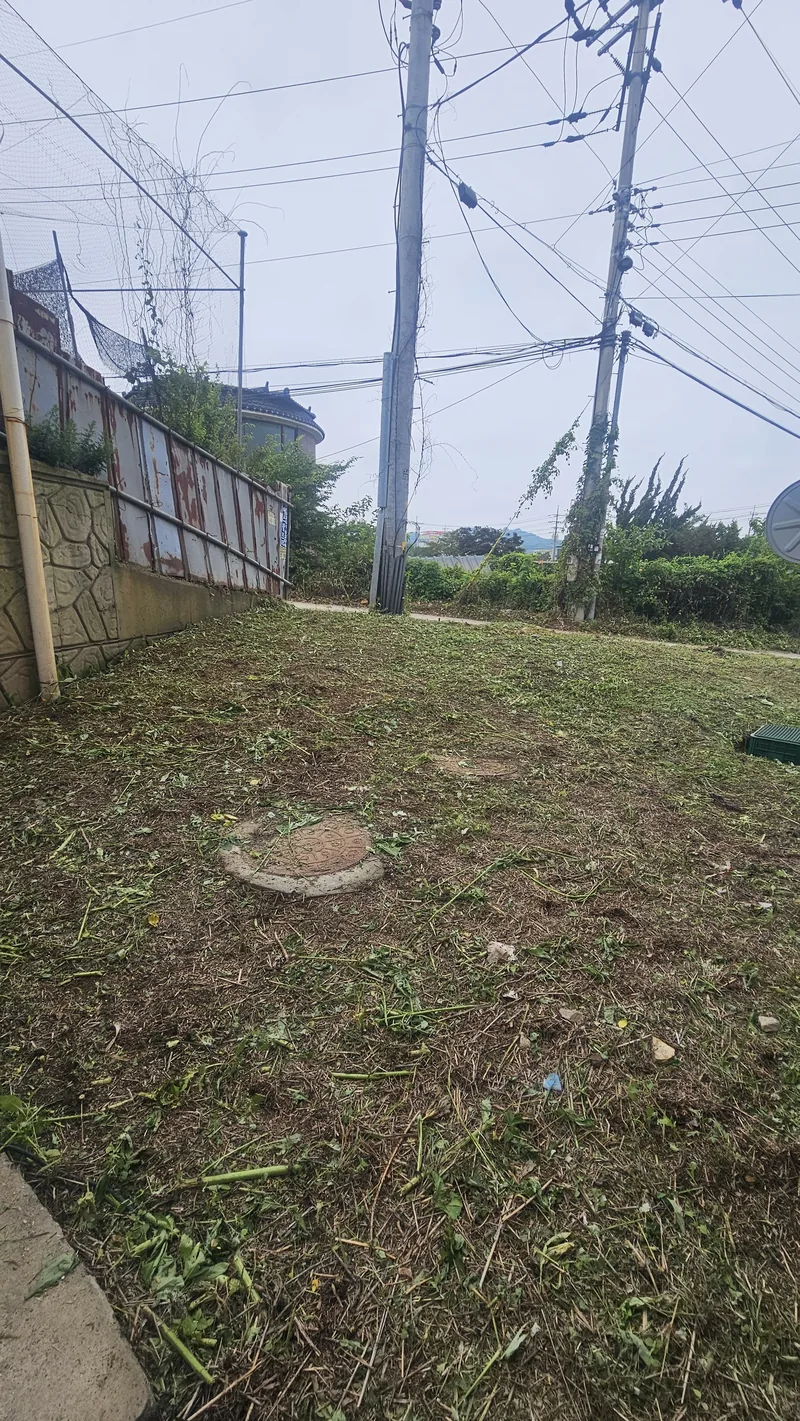 잡초제거당일 현장 사진 2