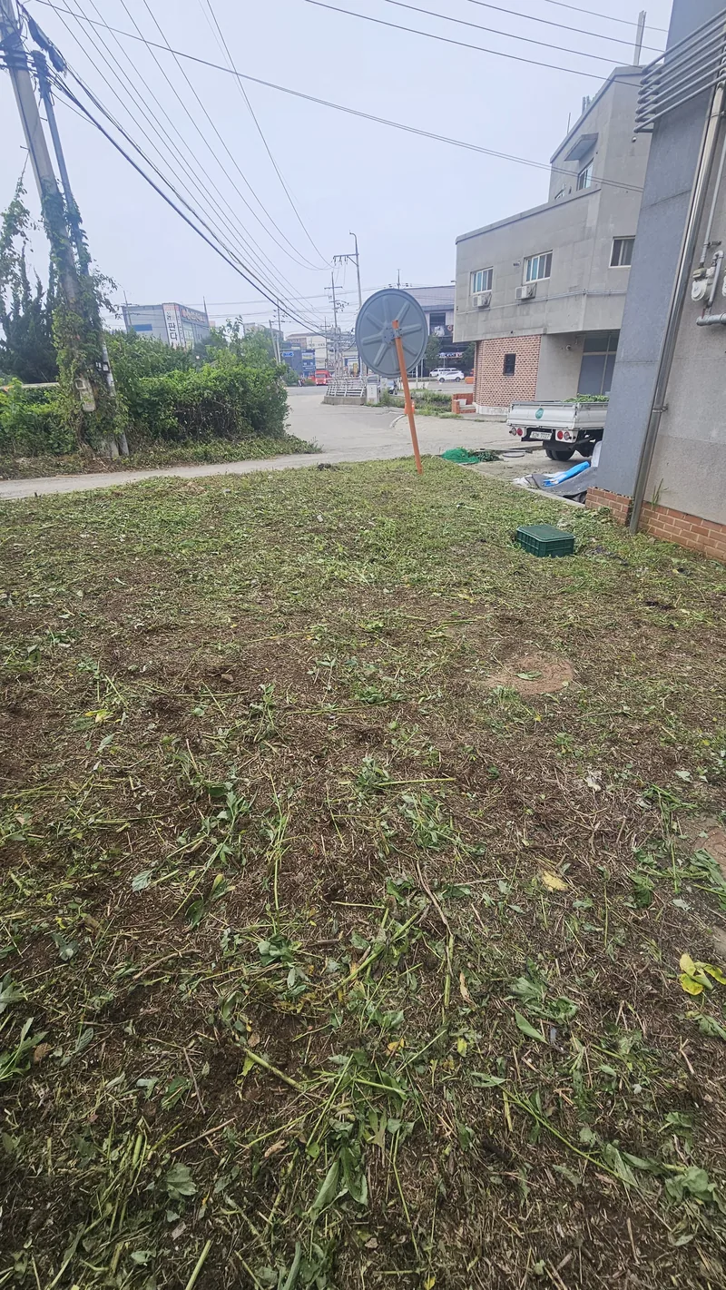 잡초제거당일 현장 사진 3