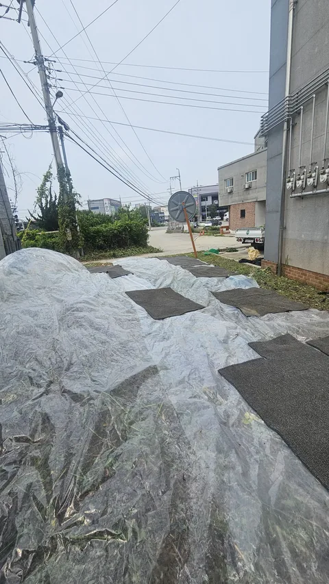 주차장잡초제거