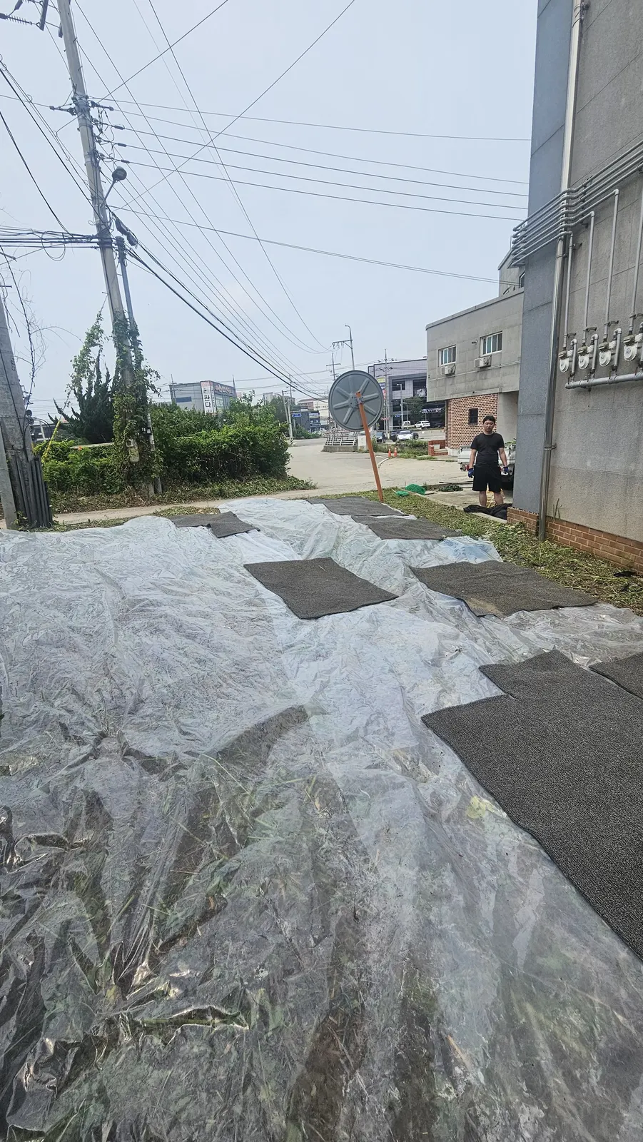 낙찰건물잡초제거 현장 사진 2
