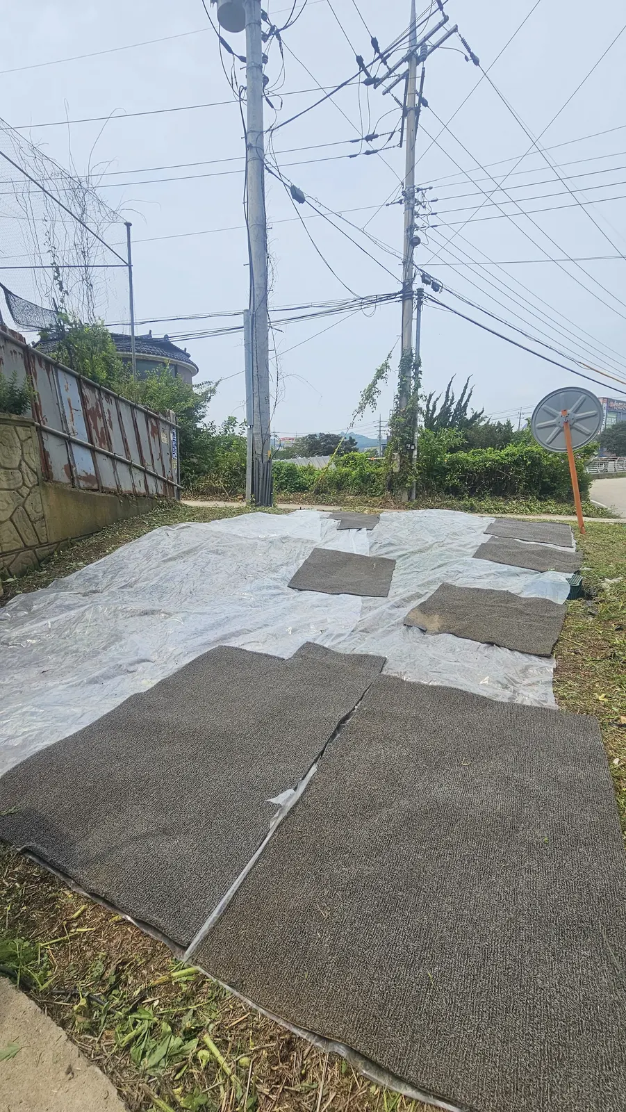 사후 관리